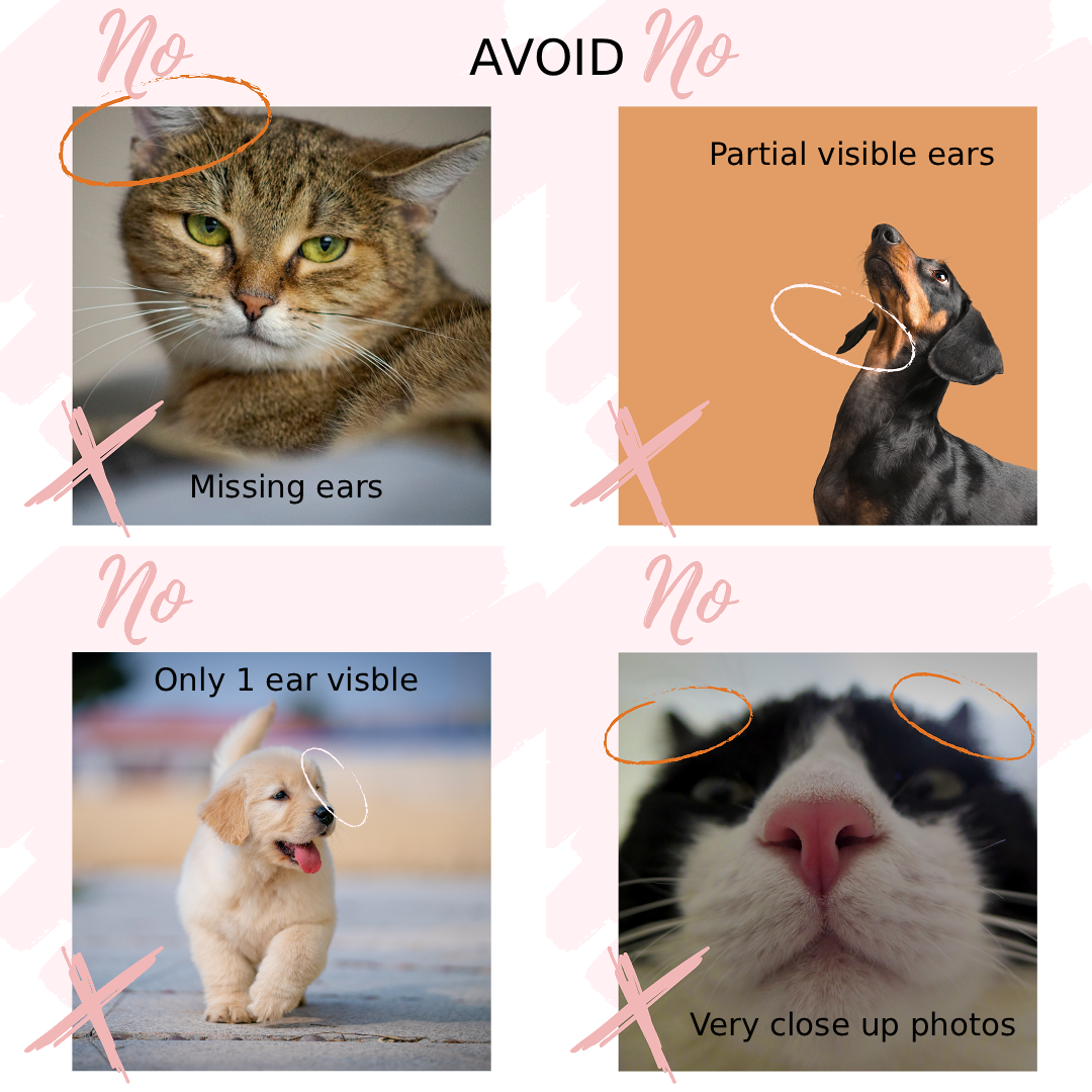 Just a Girl Who Loves Her Dog