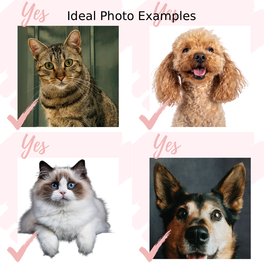 Just a Girl Who Loves Her Dog